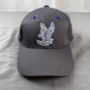 47 Brand Air Force Academy Logo Cleanup Hat‎ Charcoal